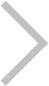 chevron right icon